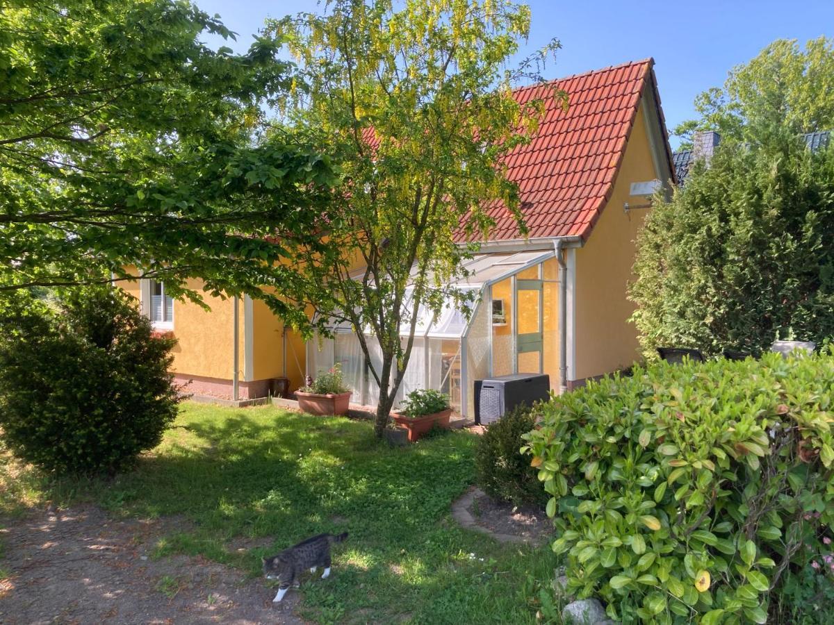 Ferienhaus -Villa Huehnerstall- Hessenburg Eksteriør bilde